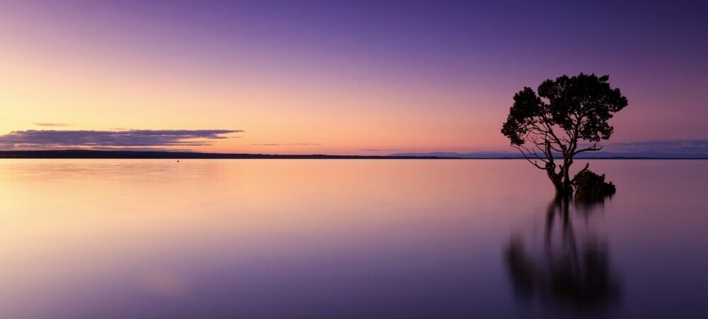 94f206e6b2a18c506be2244aa8ea6f1c1701106390 cropped